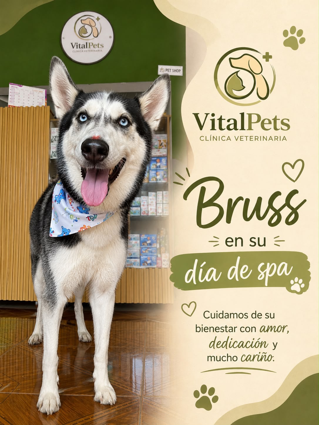 Bruss en su día de spa
