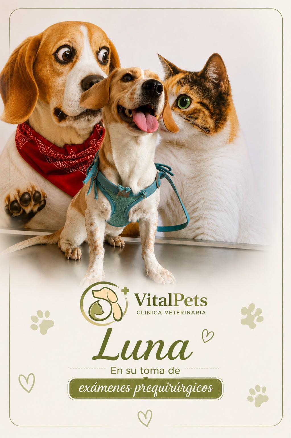 Luna, en su toma de exámenes prequirúrgicos